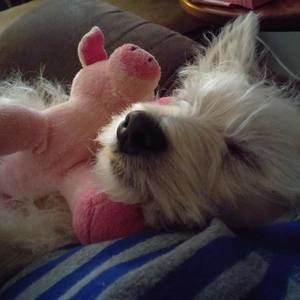 Meet your Posher, Diane